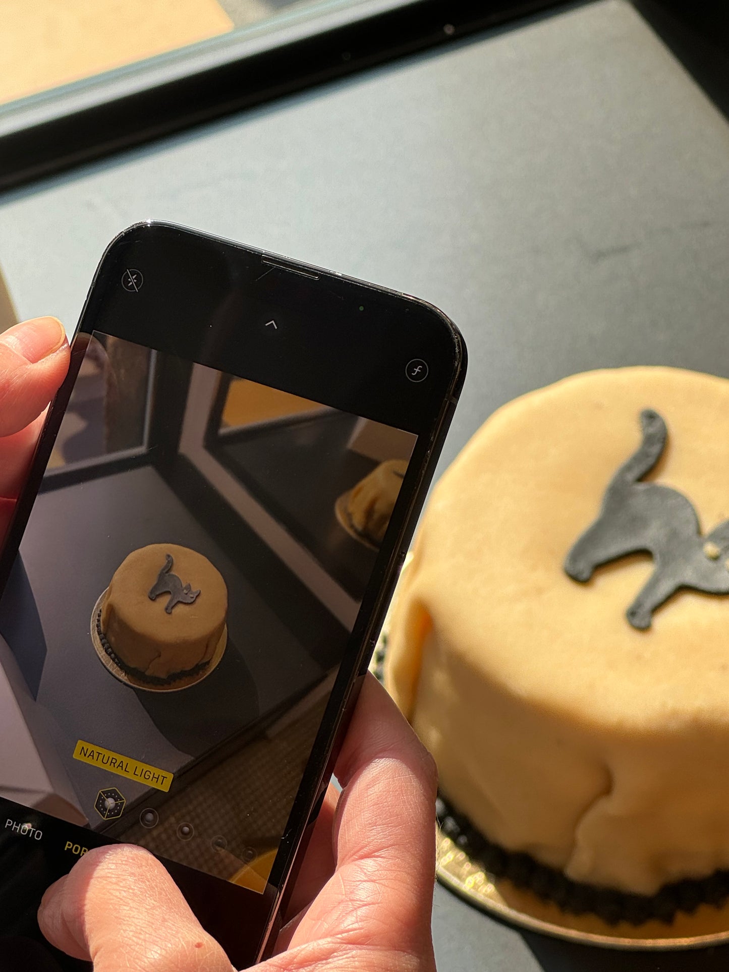 BLACK CAT PRINCESS CAKE