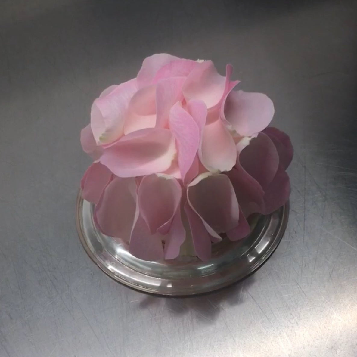 Mini torta a fiocco