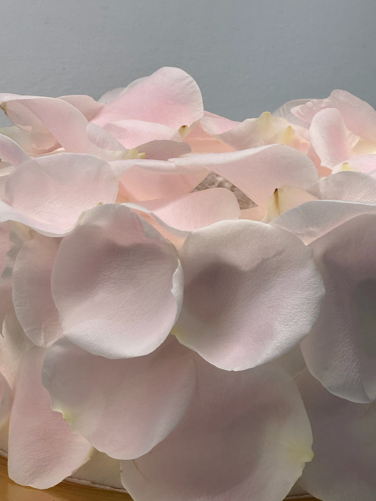 ROSE PETAL COVERED CAKE