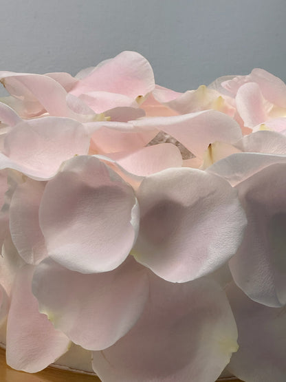 ROSE PETAL COVERED CAKE